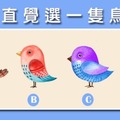 未來測試：選一隻鳥，看你三個月後將會有什麼改變？ 