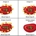 原來得病跟「血型」也有關！什麼血型要注意什麼健康隱患，很重要！千萬要注意！