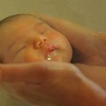 一名護士為新生兒洗澡的技術讓人震撼…這是洗澡的最高境界。(非看不可)