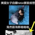 美國女子自曝NASA實驗經歷：曾與海豚做愛
