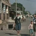 這是一段極為珍貴的清晰彩色影像，紀錄了1950年代的臺灣社會景象。