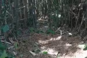 他挖蚯蚓挖出「30公斤大寶物」 專家驚嘆:來自千年前 他挖蚯蚓挖出「30公斤大寶物」 專家驚嘆:來自千年前