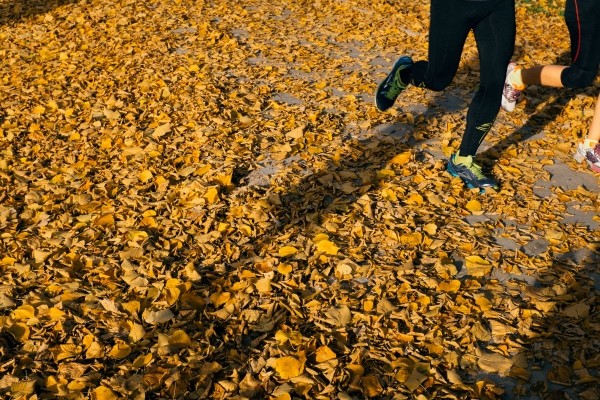 autumn-jogging.jpg