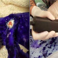 這隻“紫色病貓”全身是傷，把毛剃掉竟然還是長出紫色的毛！救護人員最後才發現牠的“背景”竟然是...太可惡了！