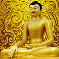 遇到困難總是想求佛保佑，佛祖為什麼不幫你？看完這篇你就懂了！