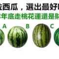 【測驗】四粒西瓜，選出最好吃的，測出你年底走桃花運還是財運？