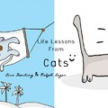 14個貓咪教導我們的人生道理！