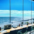 彷彿漂浮在太平洋！「世界最美車站」裡的玻璃屋咖啡廳