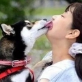 為什麼狗舌頭總是舔你的臉？這些友好的表現令人心疼！