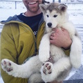 他幾年前在暴風雪裡找到了這條「小熊狗狗」，過了3年後他的人生就有了最美妙的劇變！