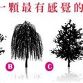 選一棵最有感覺的樹 看出你內心最依賴誰？