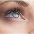 法媒提出五大建議 有效幫助緩解眼睛疲勞