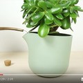 聰明的花盆讓你知道植物什麼時候該澆水嚕！