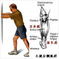 跑步後各肌群的伸展方法及肌群強化活動