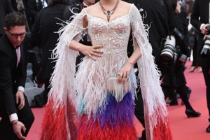 C咖女藝人賴在坎城紅毯被警衛架走，中國媒體竟點名她是台灣女星