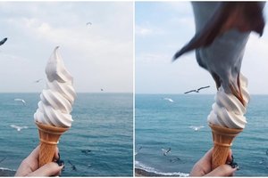 她手拿冰淇淋打算在海邊拍小文青風照片！海鷗亂入狠咬…超爆笑！