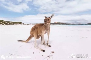澳大利亞20處美好的景點 ! 你別再錯過了唷 !