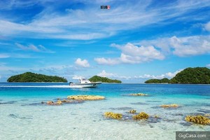 冬季到熱帶避寒：帛琉旅行攻略指南 !
