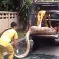 泰國一隻大型蟒蛇吞食一個人現場實錄