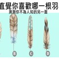 【心理測試】憑直覺你喜歡哪一根羽毛？測測你不為人知的另一面 