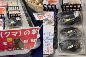 日本超市驚見「整隻熊掌販售」還有毛!驚人售價曝光 日本超市驚見「整隻熊掌販售」還有毛!驚人售價曝光