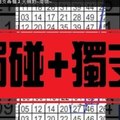 (11/29)六合彩【獨碰+獨支專欄】天機數~港號~