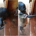 蘇丹4歲男童「赤腳緊跟軍隊」瘦弱身軀搖搖晃晃，就為了求他們「給一口水喝」。