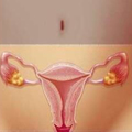 生殖系統的衰老，女人也容易變老！一定要注意保養，生活中的三個壞習慣最傷子宮，千萬不要做了！