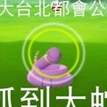 《Pokemon Go》大台北都會公園 抓到大蛇 【瘋景點】