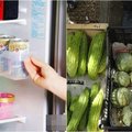[冷知識] 原來我們都搞錯！這１４項食物千萬別放進冰箱 不僅變味還會壞掉:準備來清冰箱囉(15P