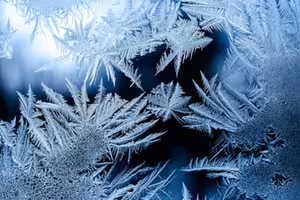 3生肖「偏財運爆發」 投資爽獲利數錢 3生肖「偏財運爆發」 投資爽獲利數錢