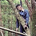 有500多位日本人先後在這片樹海自殺，專家發現這片森林居然有這麼恐怖的秘密...