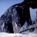 「南極洲」拍攝到30公尺高的巨型人類！未解之謎終於曝光了！