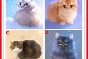 心理測試：選一隻可愛貓咪，測到年底前你是否有貴人相助