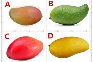 心理測試：你想吃哪個芒果？可測出你是不是天生的好命人