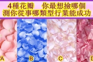 心理測試：4種花瓣，你最想撿哪個？測你從事哪類型行業能成功！
