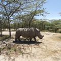 地球上最後一隻雄性北非白犀牛過世　專家留精盼物種存續