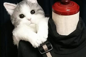 《超逼真貓咪包》新款式～後側背包 就像是貓咪趴在肩膀上一樣呢
