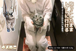 超便利《貓袋裝》冬季版 有種攜帶活體暖爐的概念(笑)