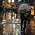今天才知道為什麼日本人的雨傘總是透明色的？