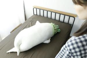 睡覺不寂寞！日本推出巨型「大根」抱枕　詭異姿勢看起來又有點可愛？