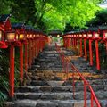 【京都自由行】前往各個神社參拜，向神明許願吧！精選京都12處許願景點