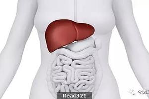 肝臟早衰的8大身體信號，護肝「六要訣」！