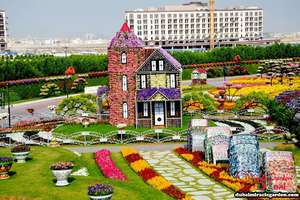全球最大的自然花園 － 杜拜奇蹟花園（Dubai Miracle Garden）