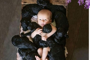 她和家中懷孕愛犬在同一天生下寶寶，於是她拍下了這些超有愛照片！