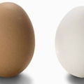 「紅蛋」還是「白蛋」比較有營養？我們都錯了好久…