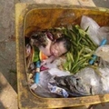 拾荒的流浪漢在垃圾桶看到了被丟棄的女嬰，獨力撫養她8年後現在他們過著這樣的生活！