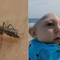一位孕婦只是被蚊子叮了一口，竟然生出這樣的孩子，在產房瞬間崩潰...孩子的一生就這樣毀了！