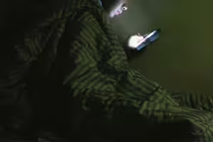 15歲少年熬夜打遊戲「身高僅138公分」 醫查1關鍵嘆:這輩子定格了 15歲少年熬夜打遊戲「身高僅138公分」 醫查1關鍵嘆:這輩子定格了