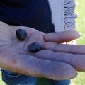 土耳其某村民每天都在找這種小石頭，感覺很不起眼，但當你知道這石頭的價值，絕對會讓你驚訝到合不攏嘴！！
